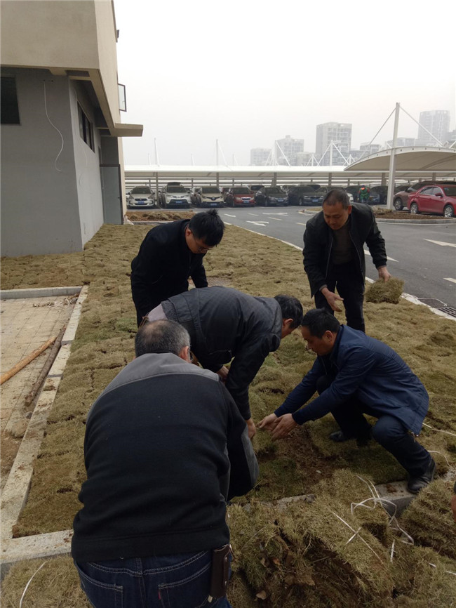 GA黄金甲(中国)最新官方网站