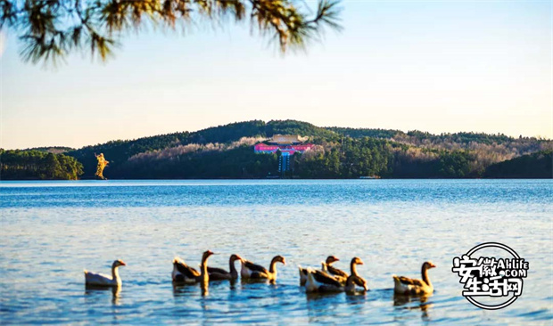 GA黄金甲(中国)最新官方网站