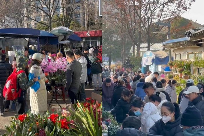 GA黄金甲(中国)最新官方网站