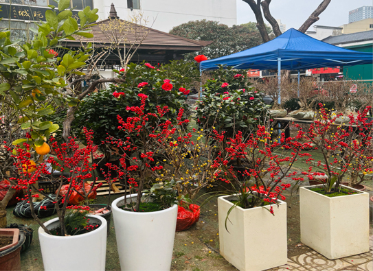 GA黄金甲(中国)最新官方网站